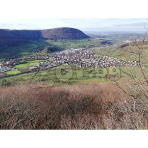 ТОВАРО- РАЗТОВАРНИ УСЛУГИ В СОФИЯ БЕЗ ПОЧИВЕН ДЕН | 470459 - 716508