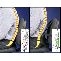 Анатомична облегалка за кръст Lumbar Support | 172422 - 286633