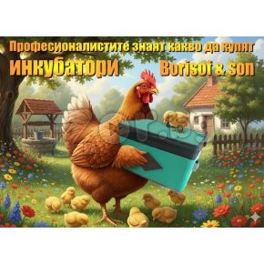 инкубатори - Коледна промоция | 445792 - 712945