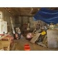 Хамали Перфект София | 144246 - 713314