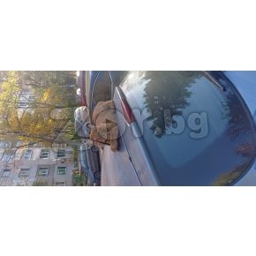 СТУДЕНТИ. ТОВАРО- РАЗТОВАРНИ УСЛУГИ В СОФИЯ | 468729 - 714408